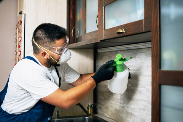 Professional Pest Control in Aliso Viejo, CA