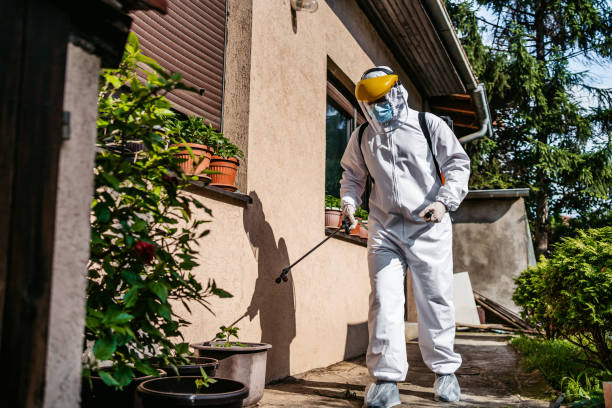 Best Wasp Removal Services  in Aliso Viejo, CA
