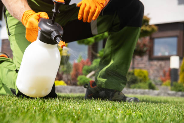 Best Commercial Pest Control Services  in Aliso Viejo, CA