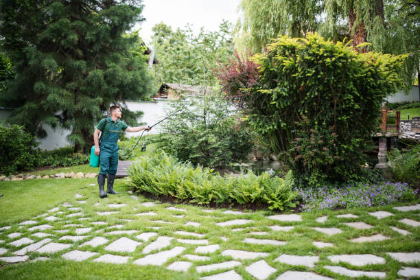 Best Exterminator Services  in Aliso Viejo, CA