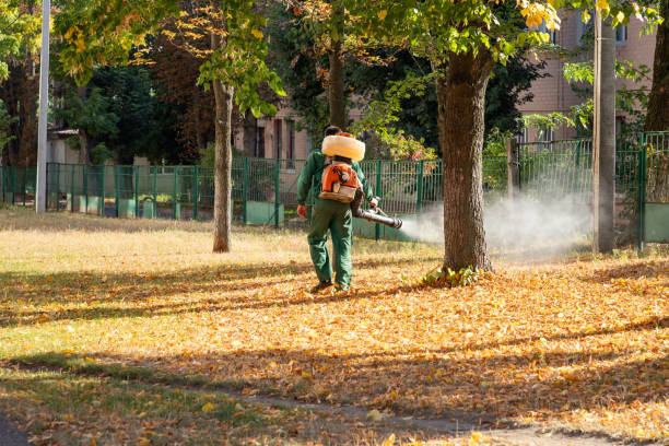 Best Pest Prevention Services  in Aliso Viejo, CA