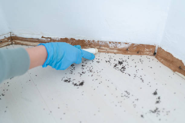 Best Wildlife Control Services  in Aliso Viejo, CA